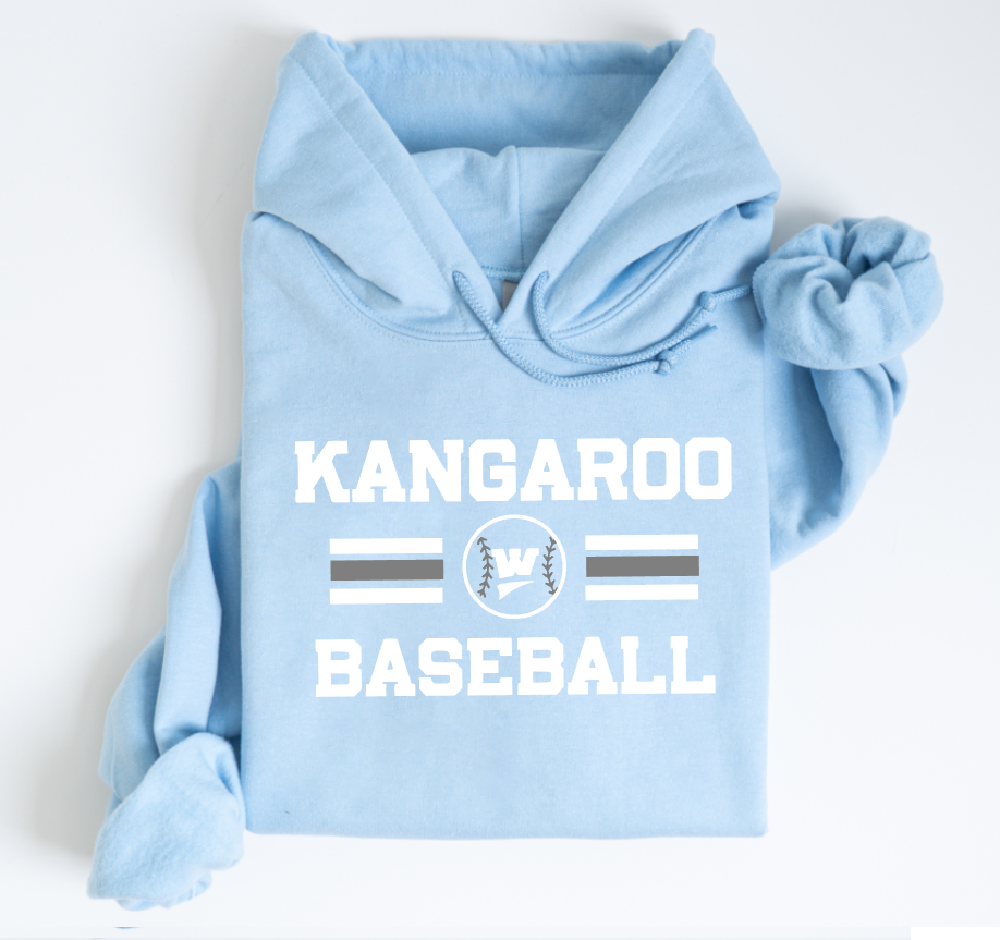 1) LIGHT BLUE HOODIE or CREWNECK